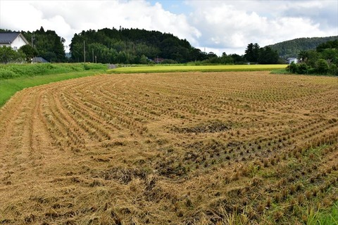 99J_0191_R