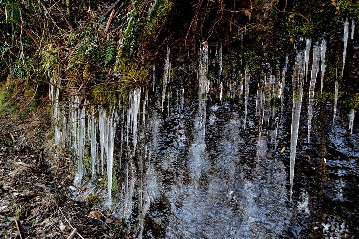 飯給(南市原)里山便り
	  厳寒続き氷柱がさらに伸びるー小湊鉄道上総大久保駅付近ー
	コメント