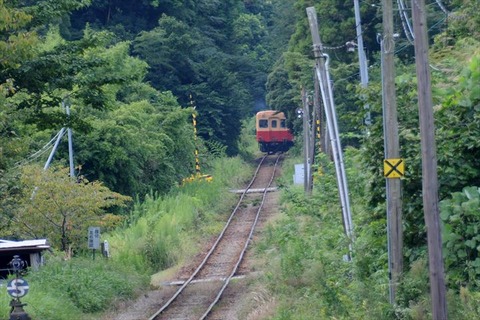 DSC_6539_R
