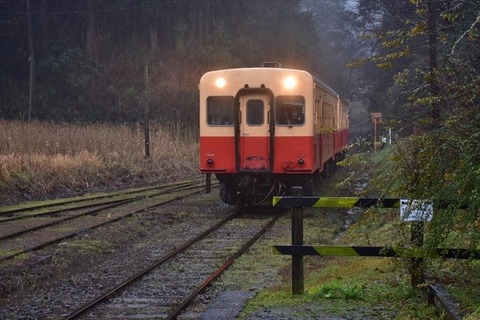 DSC_7224_R