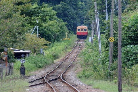 DSC_6536_R