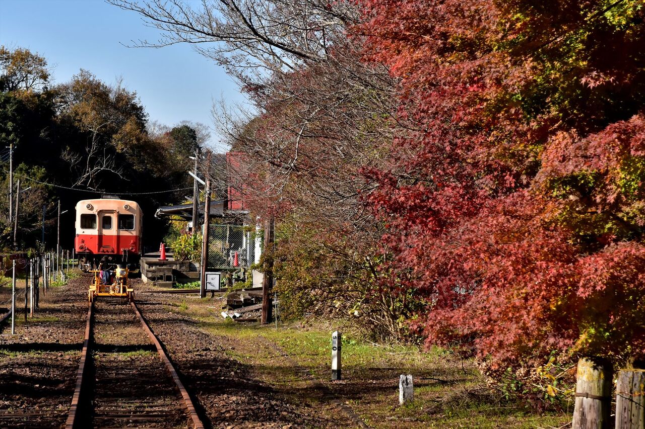初冬の山里を歩くー小湊鉄道養老渓谷周辺ー 飯給 南市原 里山便り 初冬の山里を歩くー小湊鉄道養老渓谷周辺ー 飯給 南市原 里山便り