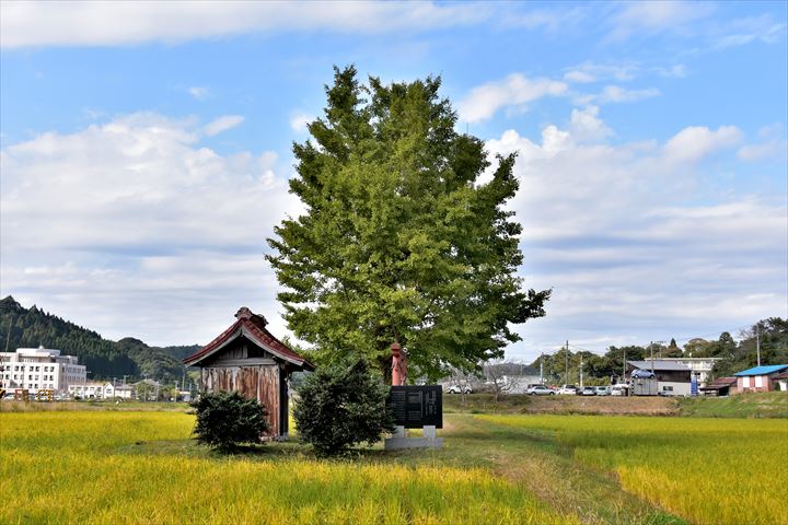 いすみ鉄道小さな祠の銀杏 飯給 南市原 里山便り いすみ鉄道小さな祠の銀杏 飯給 南市原 里山便り