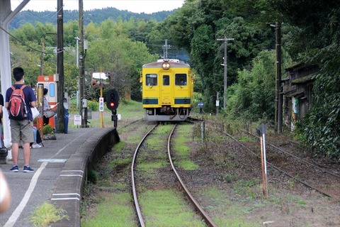 DSC_6519_R