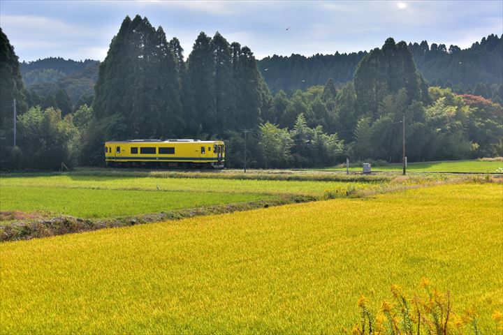 いすみ鉄道小さな祠の銀杏 飯給 南市原 里山便り いすみ鉄道小さな祠の銀杏 飯給 南市原 里山便り