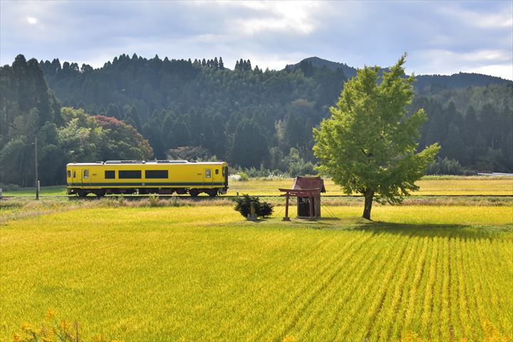 いすみ鉄道小さな祠の銀杏 飯給 南市原 里山便り いすみ鉄道小さな祠の銀杏 飯給 南市原 里山便り