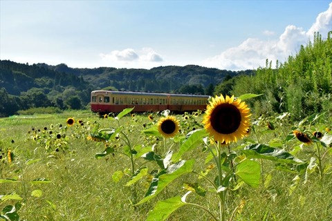 99J_0207_R