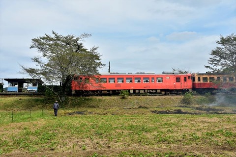 DSC_0464_R