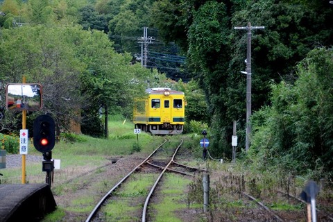 DSC_6516_R