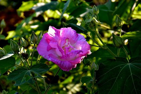 99J_0214_R