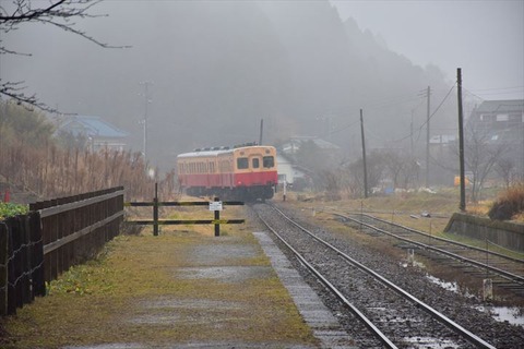 DSC_7231_R