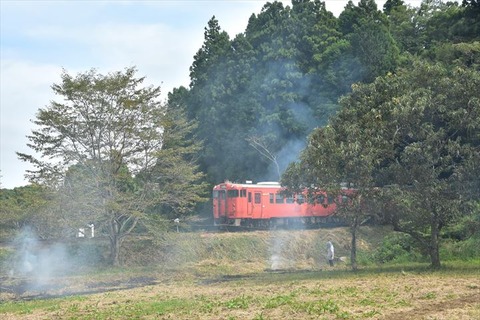DSC_0461_R