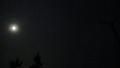 DSC01116