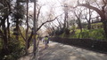 DSC09109
