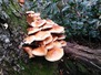 20151107_06