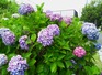 IMG_20160625_161253