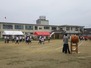 IMG_20160528_161229