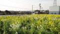 DSC09114