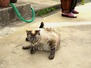 IMG_20160619_095024