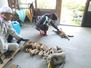 20150426_203310