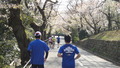 DSC09111