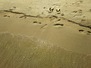 IMG_20160619_073408