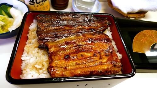 P1200255