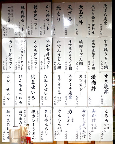 DSC05041