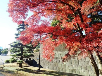 ���ʤ����礦����