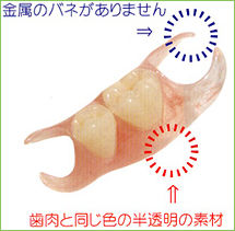 ばるぷらすと2