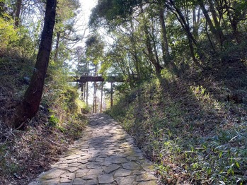 �컳��ݶ�����