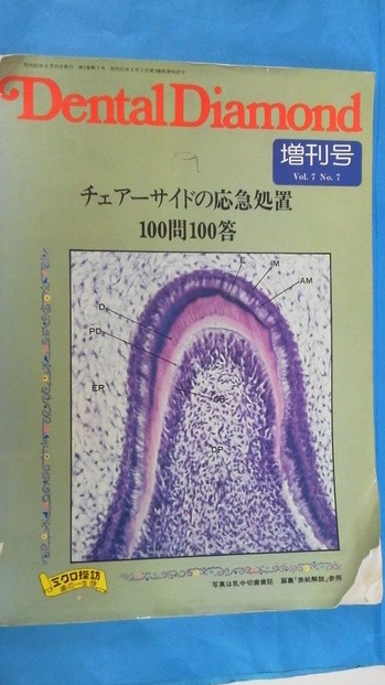 しか13