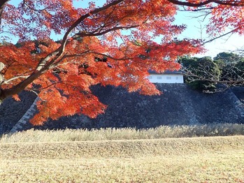 ���ʤ����礦����