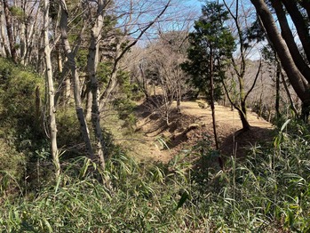 �컳�롼��δݡ����Ͻ�