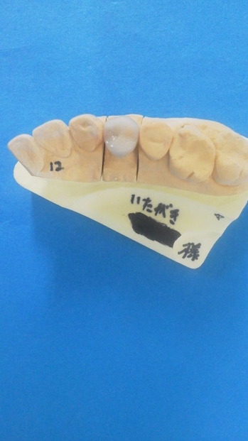 しか―24