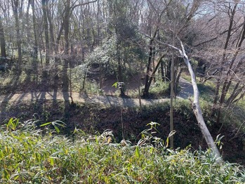 �컳�롼���λ��ڶ�