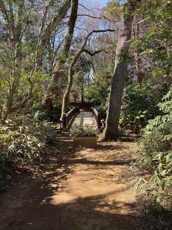 �컳����δݡ���