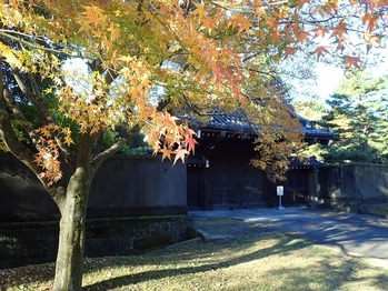 ���ʤ����礦����