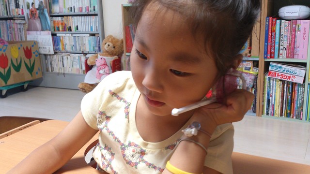 今日のお弁当 アイドルマイク 韓国ツウへの道 典子の徒然日記