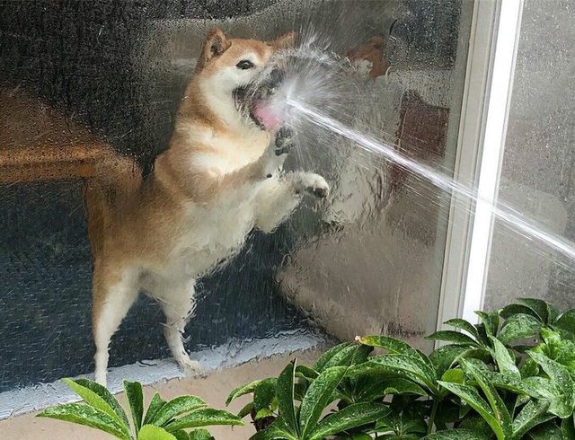 30