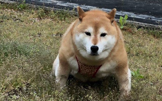 136