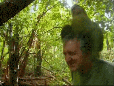 200 (3)