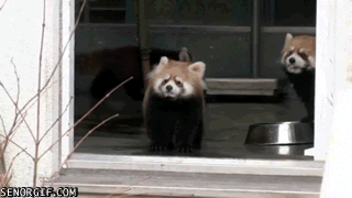 undefined - Imgur (8)