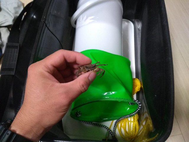 nqjgFssl