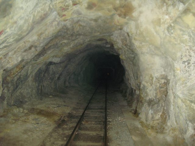 CkiNTfGl