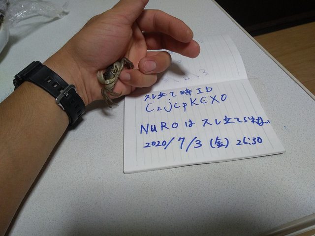 g5g5cUFl