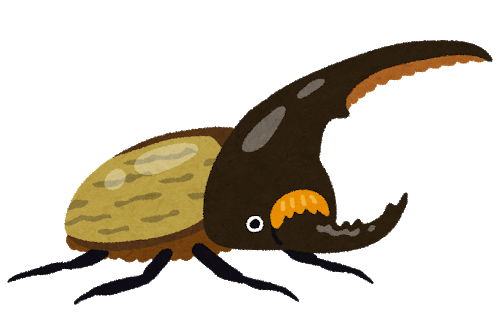 bug_kabutomushi_hercules