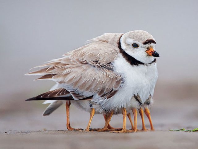 182