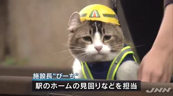 419