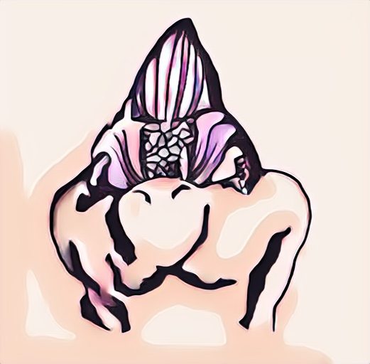 65